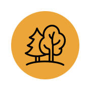 Woods Icon