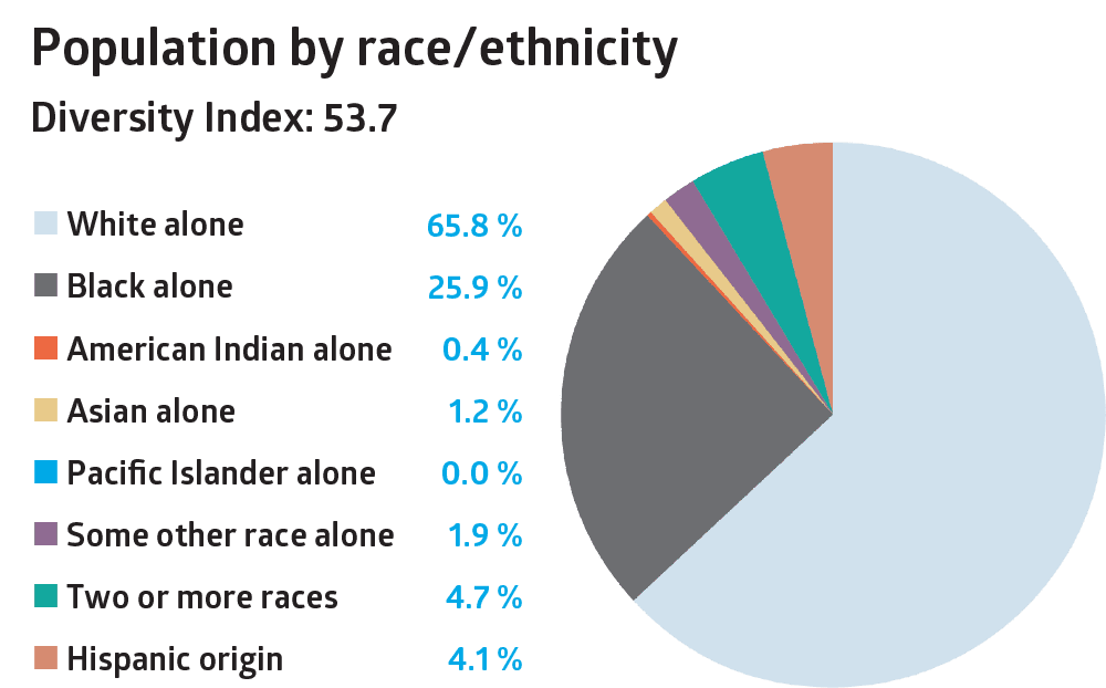 2023_Population-By-Race-no-border