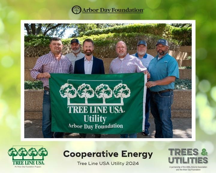Tree Line 2024 Tree Line 2024